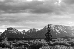 6-18-09 bk and wht tetons sm